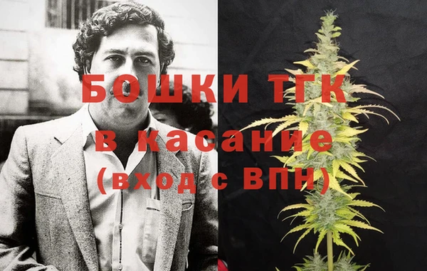 дживик Нягань
