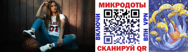 дарнет шоп  Анадырь  Галлюциногенные грибы Psilocybine cubensis 